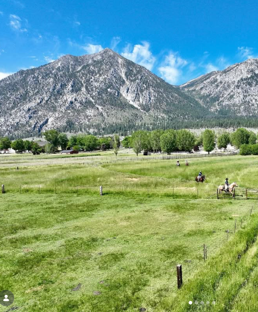 Horseback riders enjoy a scenic meadow with snow-capped mountains and evergreen forests in the background.