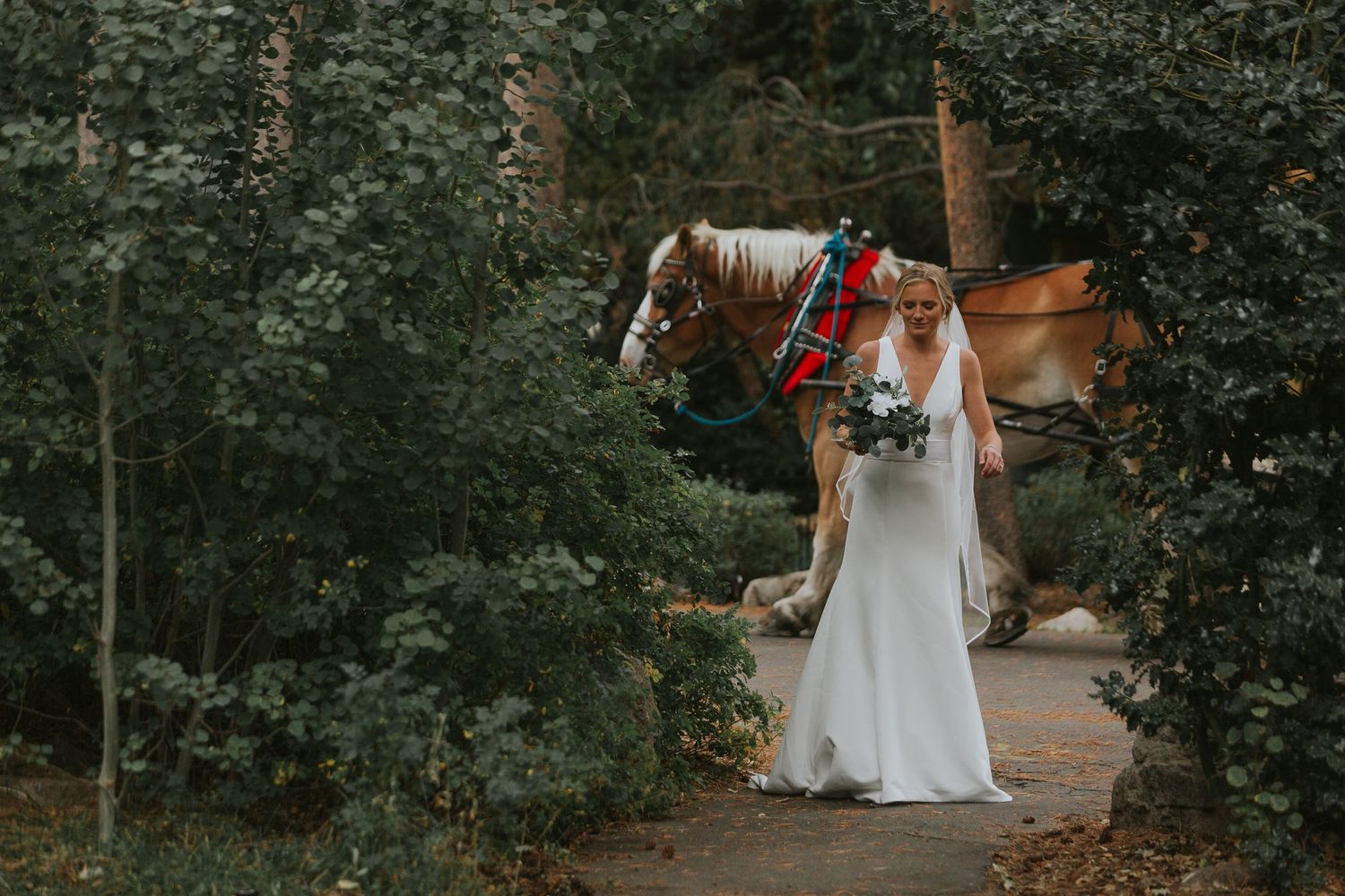 Couple in wedding attire walking through a scenic wooded area with tall trees and natural lighting.