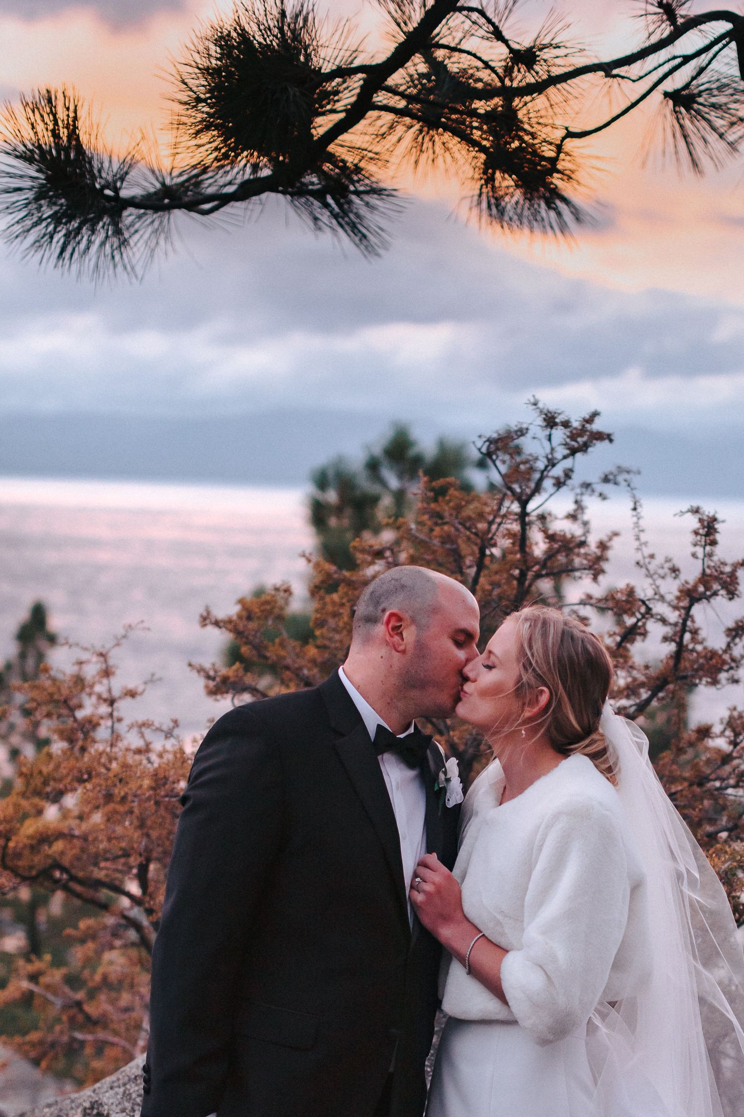 Sunset wedding portraits with pine trees silhouetted against pink sky.