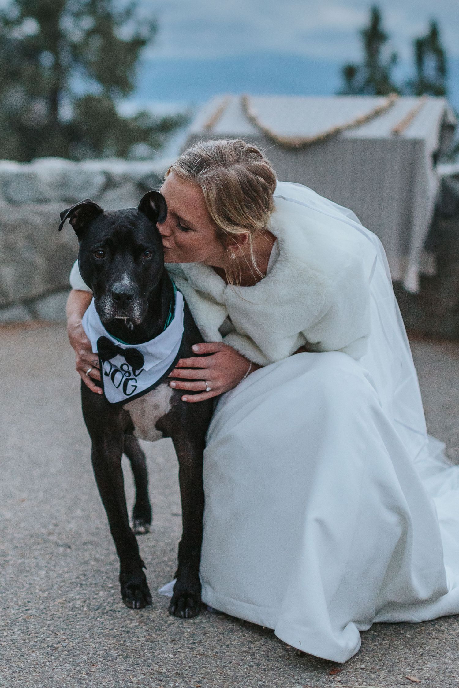 Bride in white dress kneeling to pet a black dog wearing a bow tie.