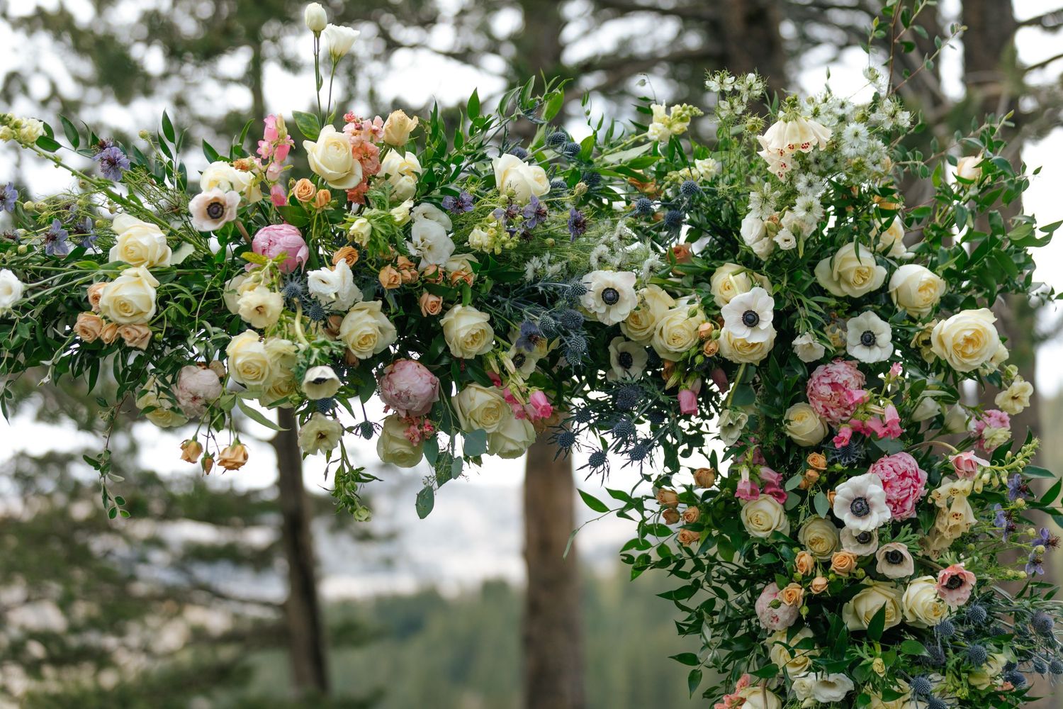 Elegant floral arch with cream and pink roses decorating an outdoor wedding space.