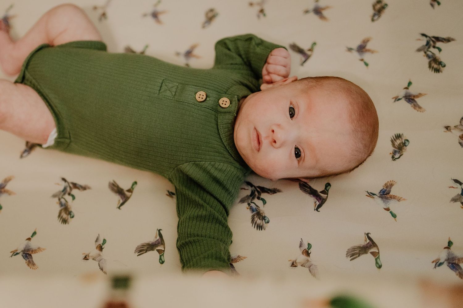 Adorable newborn baby in green onesie lying on bird-patterned crib sheet.