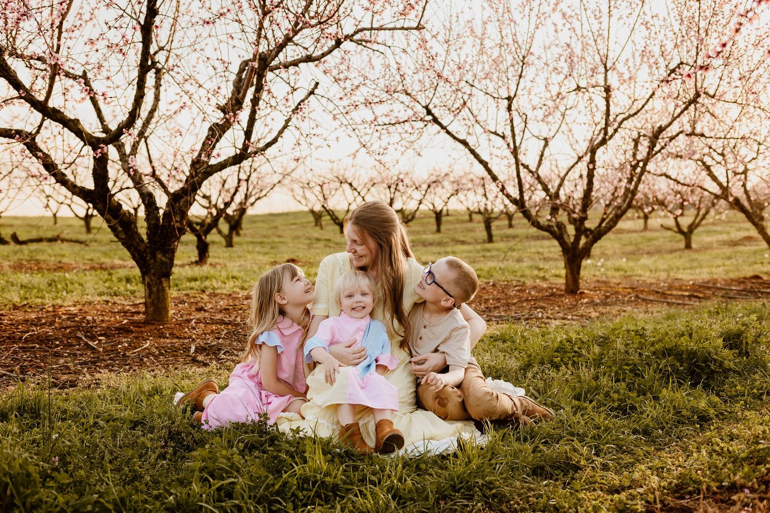 Mother sitting with three young daughters in a blooming pink orchard in spring.