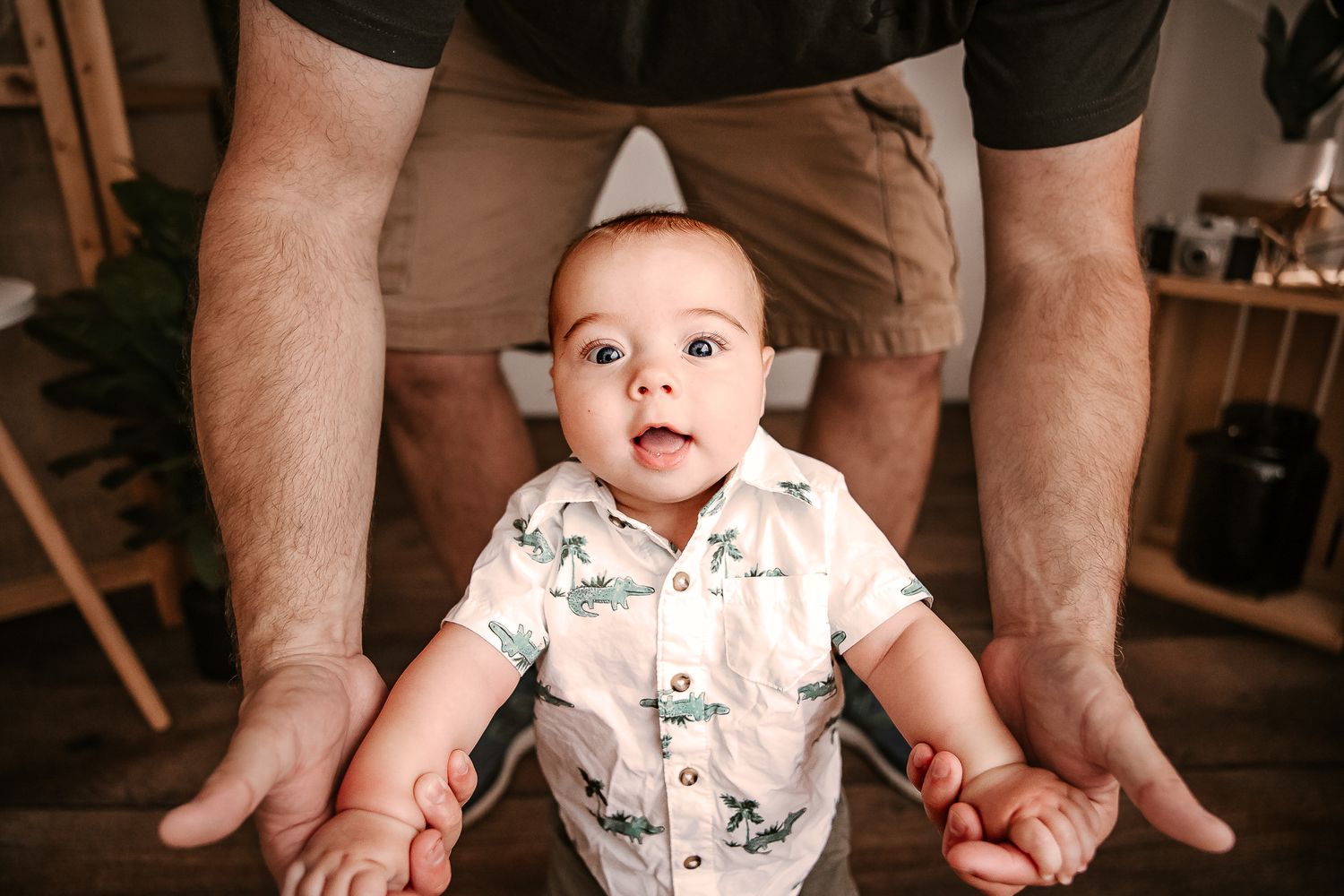 Adorable baby boy in dinosaur shirt sits supported by fathers hands on a wooden floor.