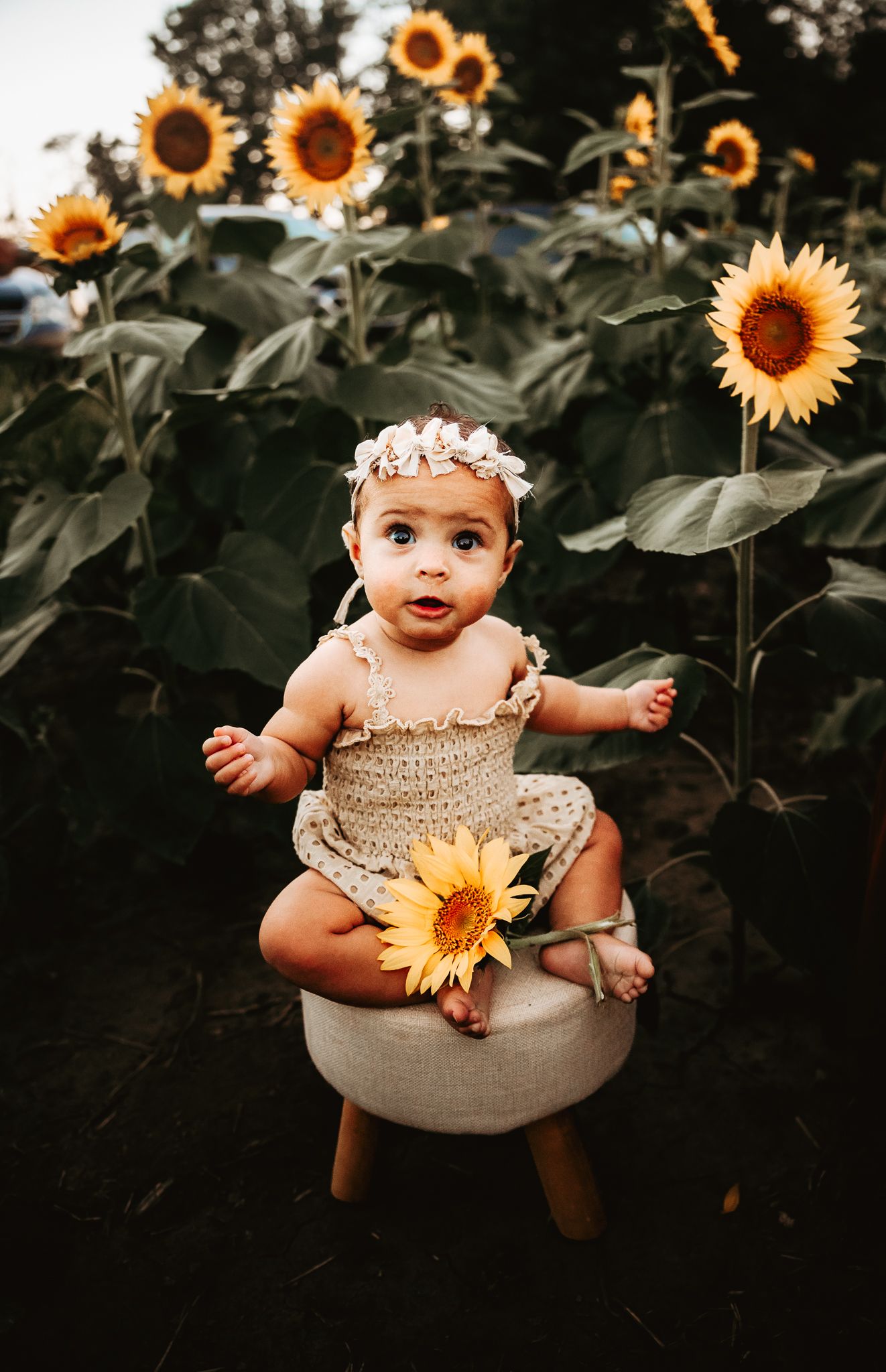 An adorable baby girl in a knit romper and floral headband sits on a stool in a sunflower field.