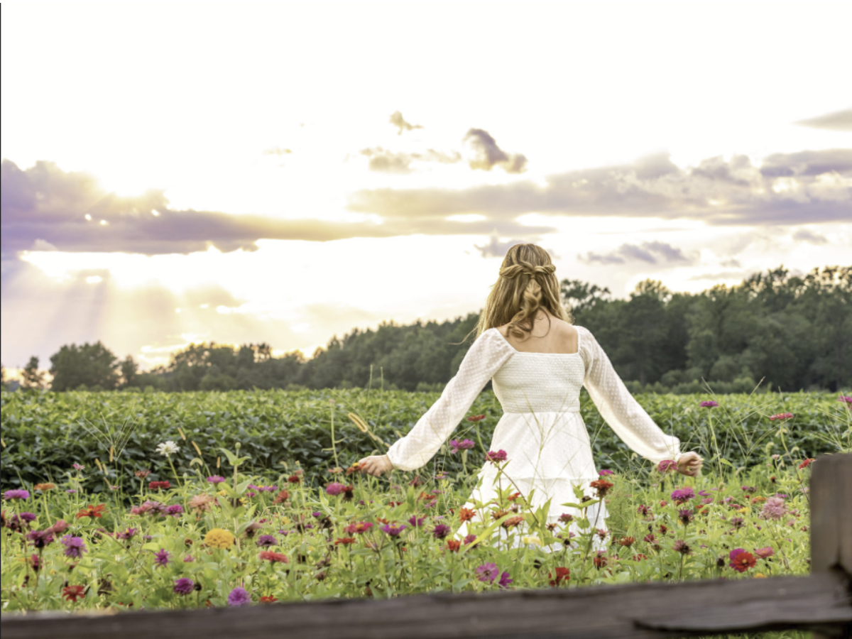 Editorial senior portrait walking through a wildflower field at sunset