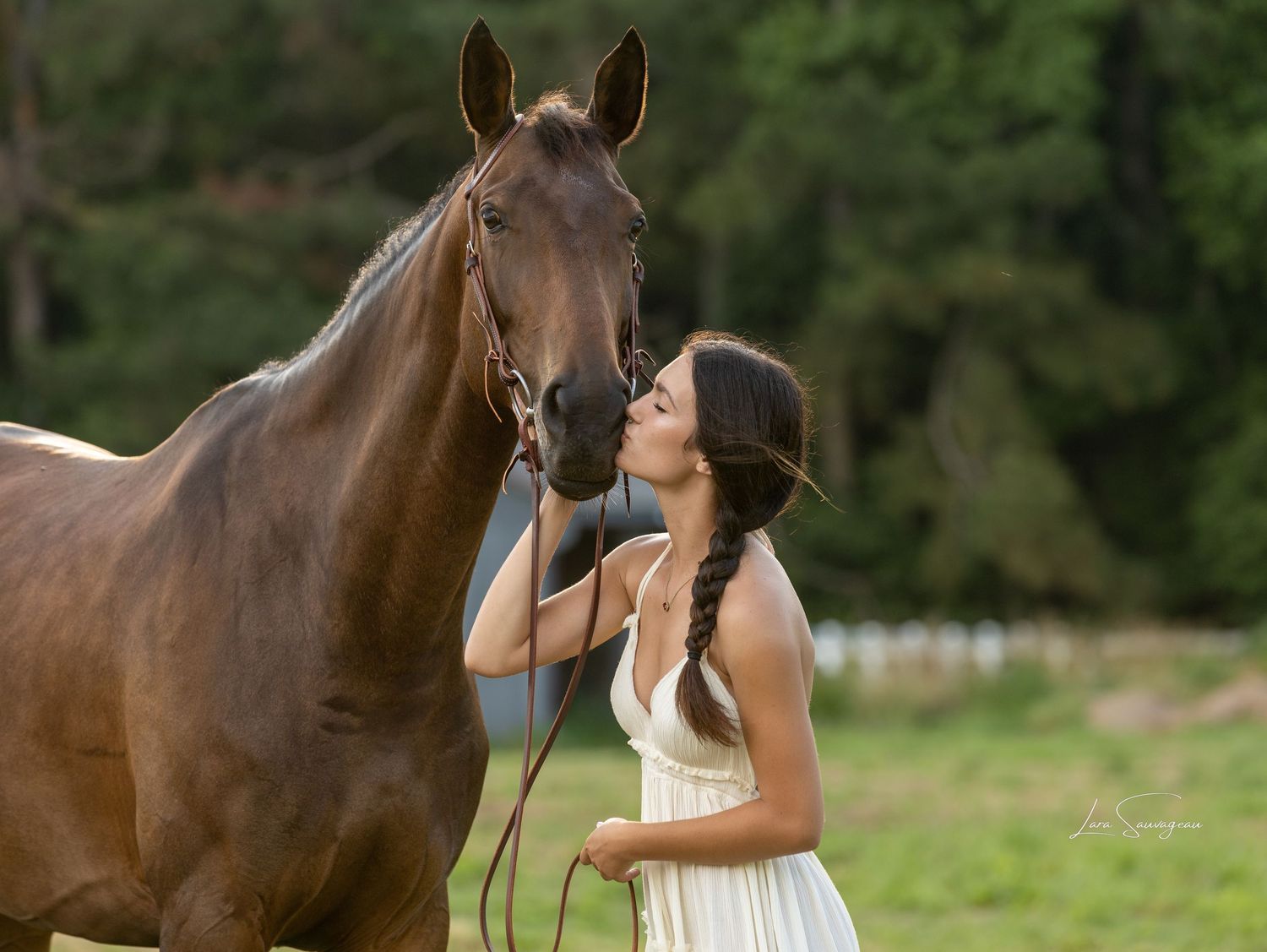 Equestrian portrait of a woman with her horse outdoors