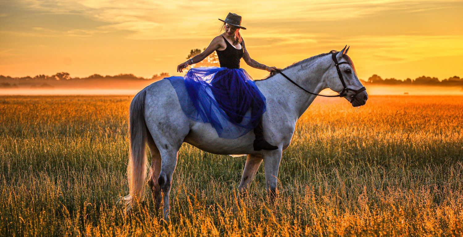 Equestrian portrait of a woman riding a white horse at sunset
