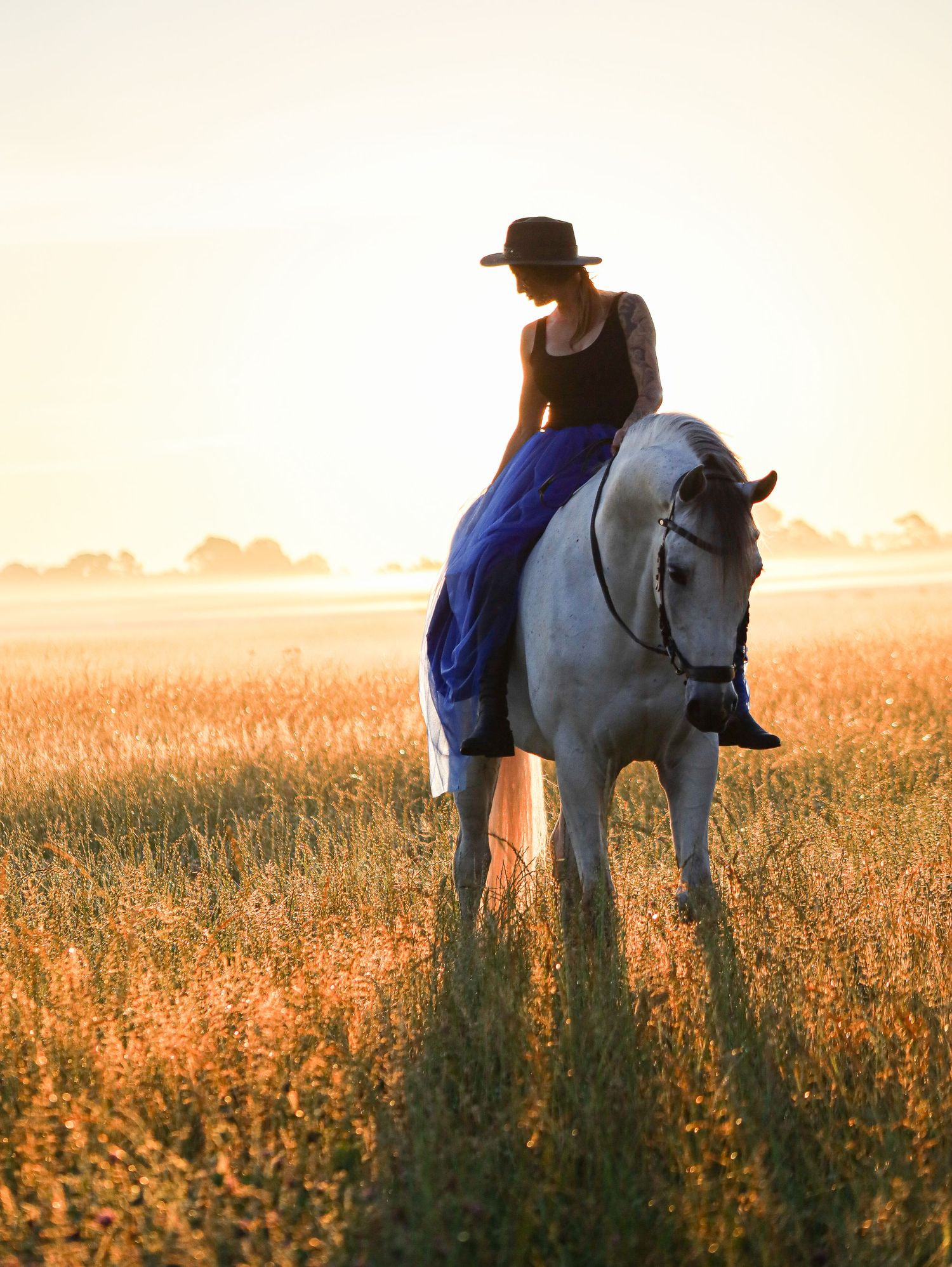Equestrian portrait of a woman riding a horse at sunset