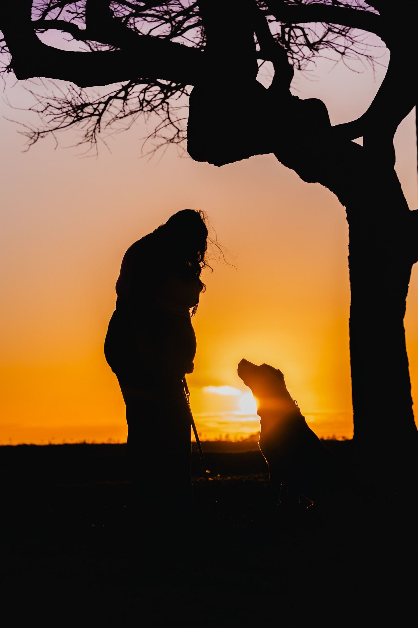 Silhouette of a woman and her dog bonding under a bare tree during a vibrant golden sunset outdoors.