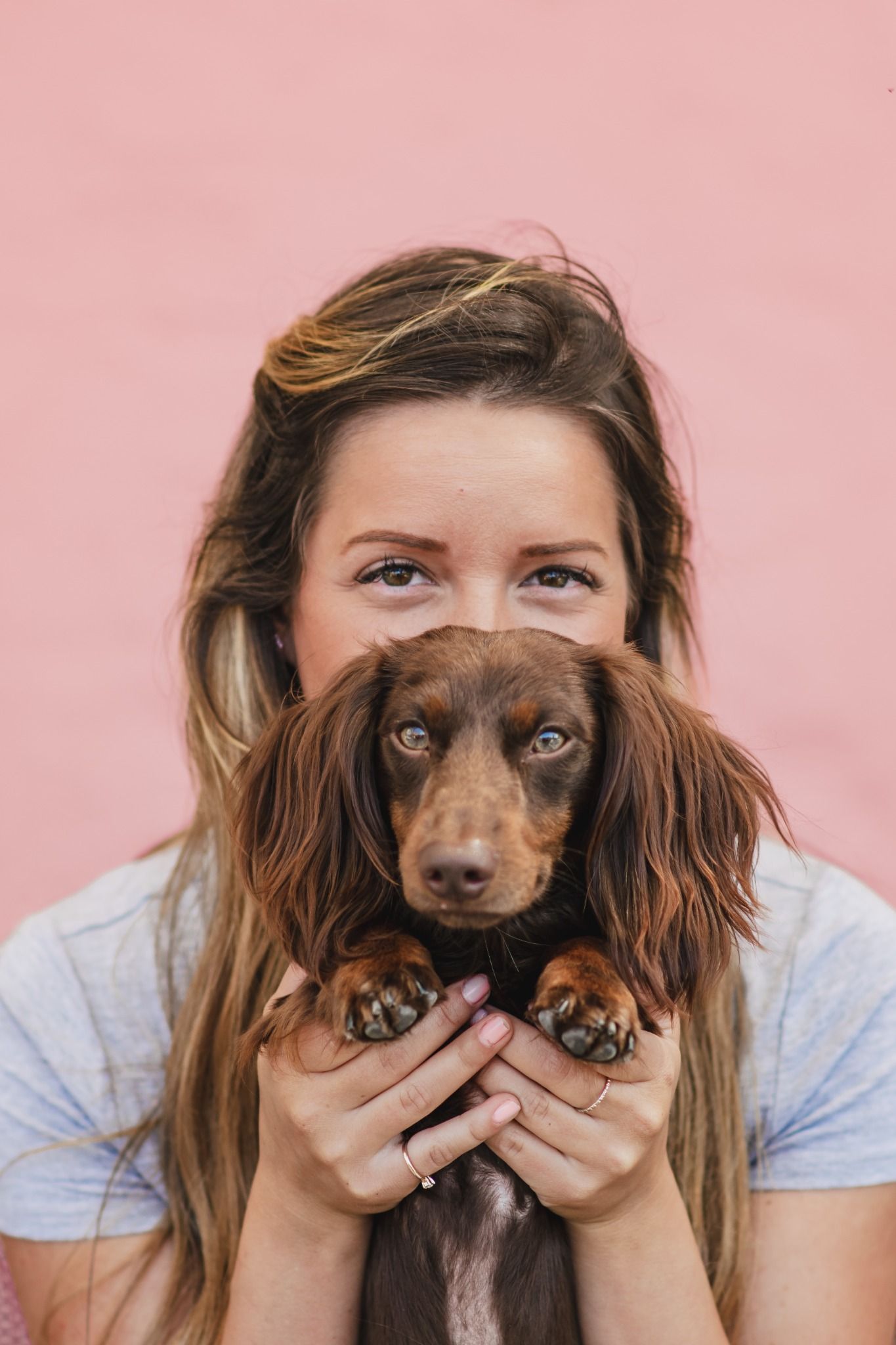 Young woman holds chocolate dachshund puppy up to her face against a pink wall.