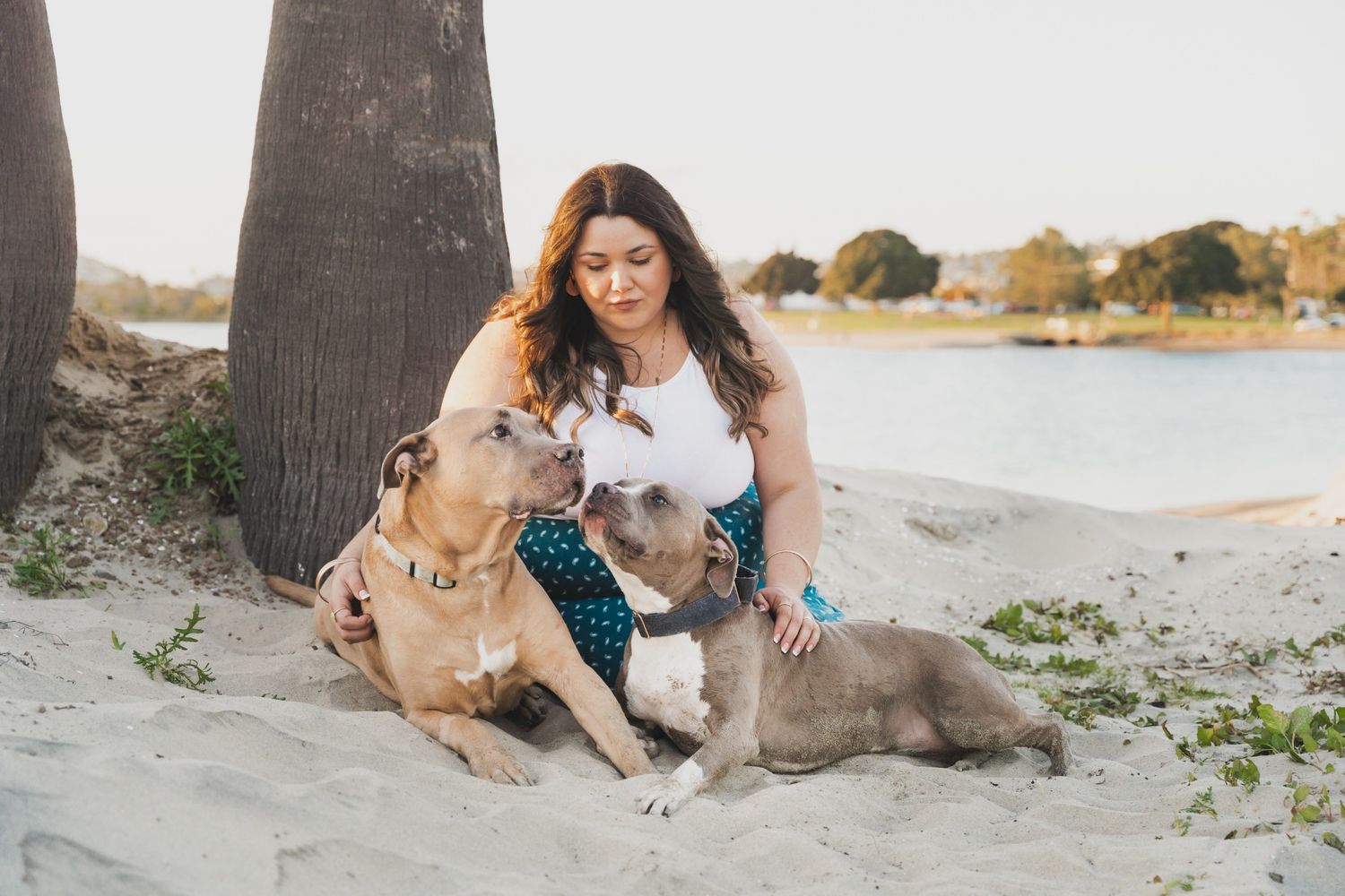 Woman sitting on sandy beach with two pit bull dogs near palm trees and calm water in background.