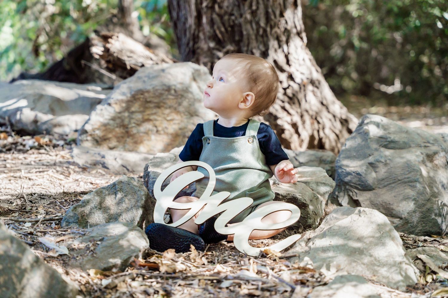 Baby sitting on rocks outdoors next to a wooden One sign for first birthday.