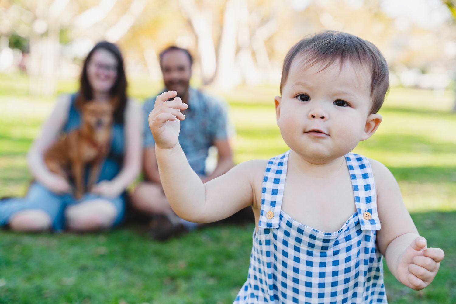 Baby in blue gingham overalls walking in park with parents and small dog sitting on grass in background.