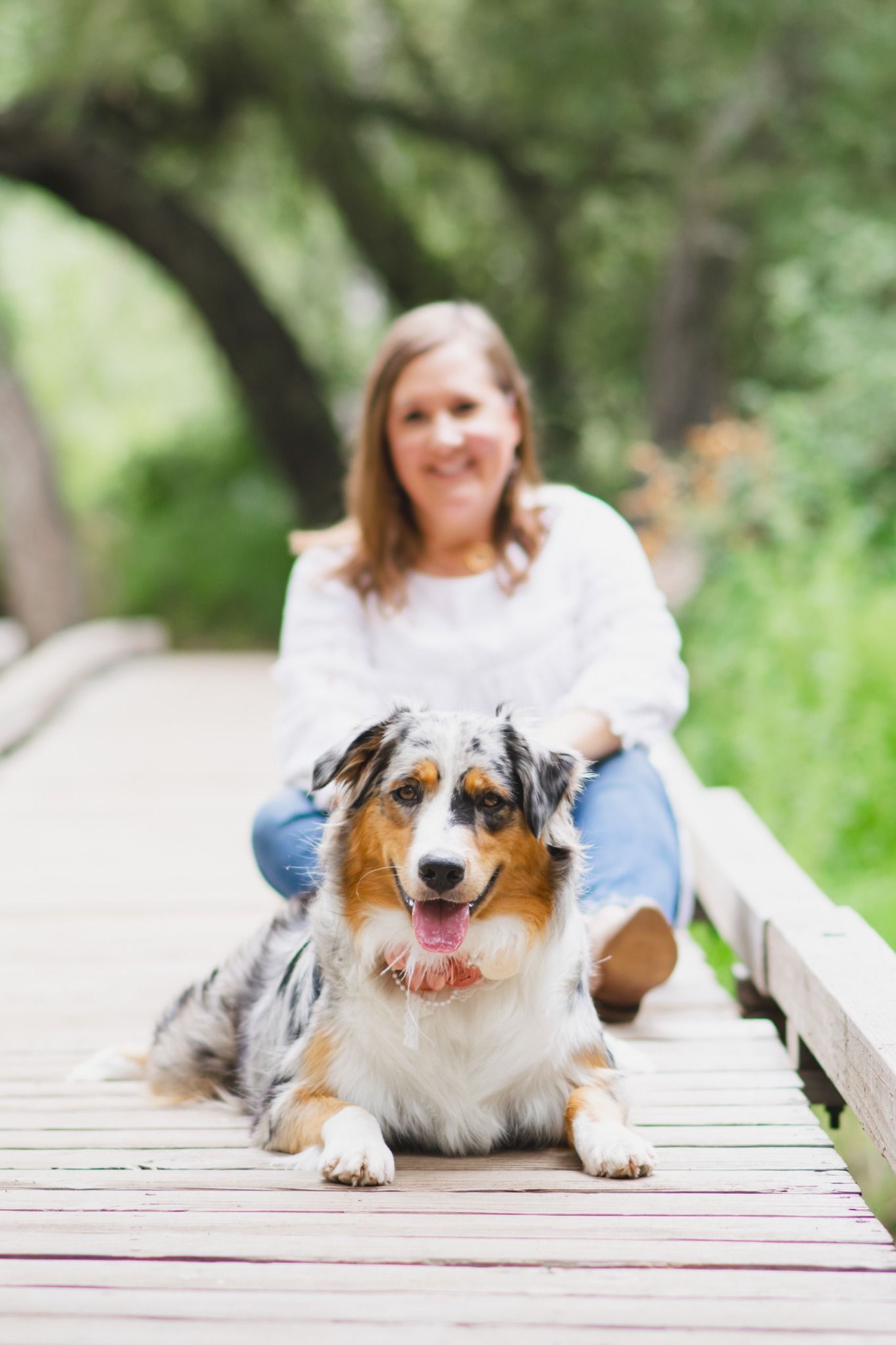 Australian shepherd dog lies on wooden bridge with smiling woman in background.