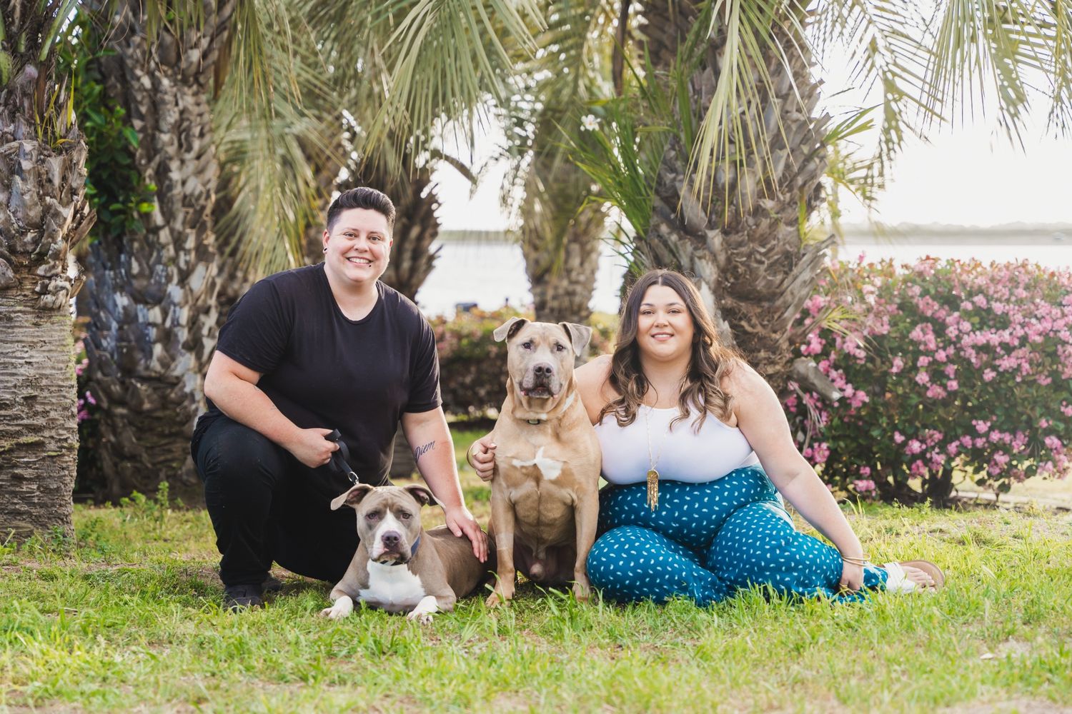 Two women pose with two dogs on grass under palm trees near water in an outdoor family pet photo session.