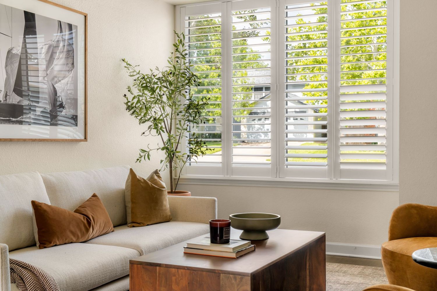 Bright living room with white plantation shutters, neutral sofa, wooden coffee table, and indoor plant.