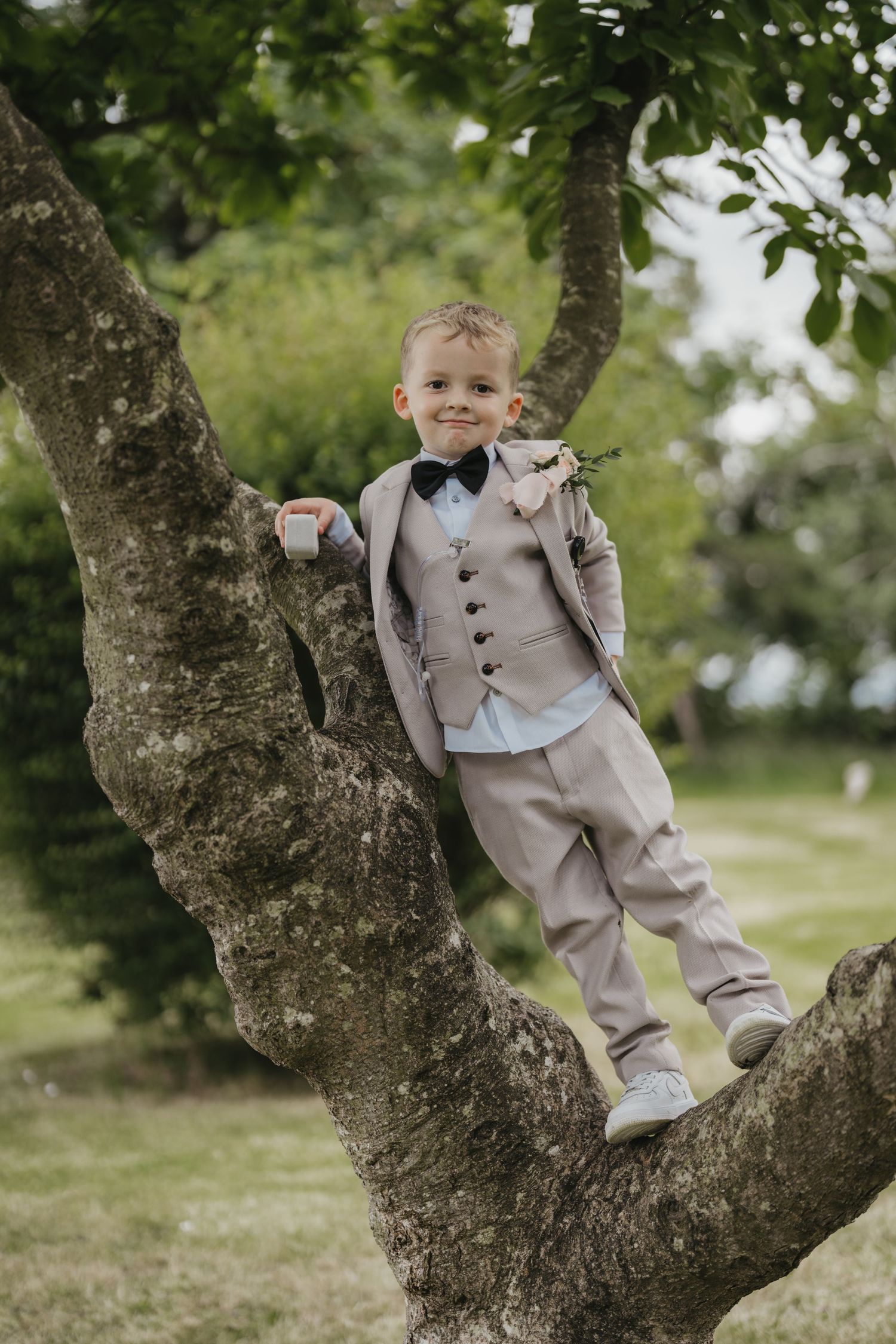 Young boy in beige suit and bow tie smiling while climbing a tree outdoors at a wedding.