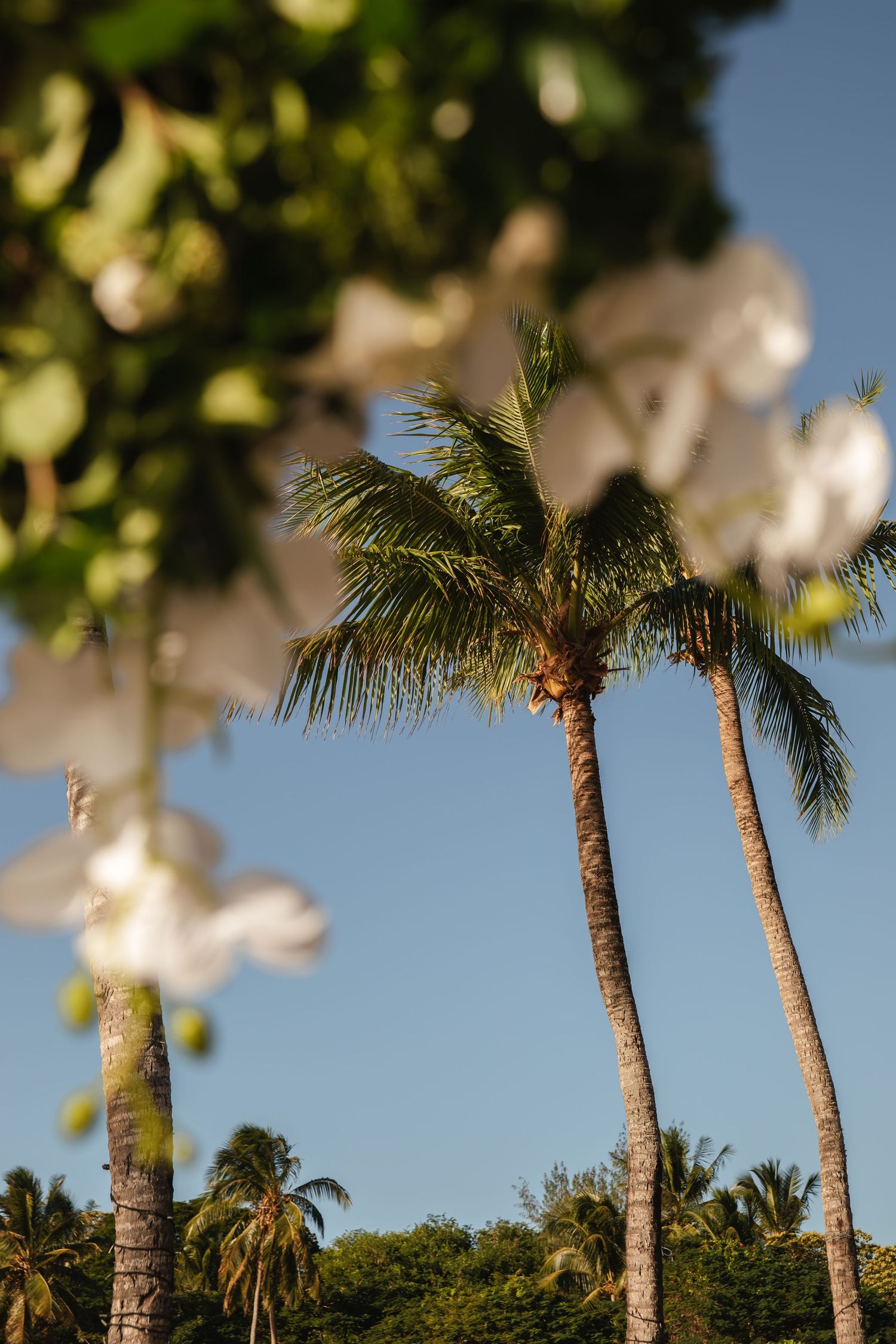 Fiji destination wedding photography capturing a couple celebrating by the ocean