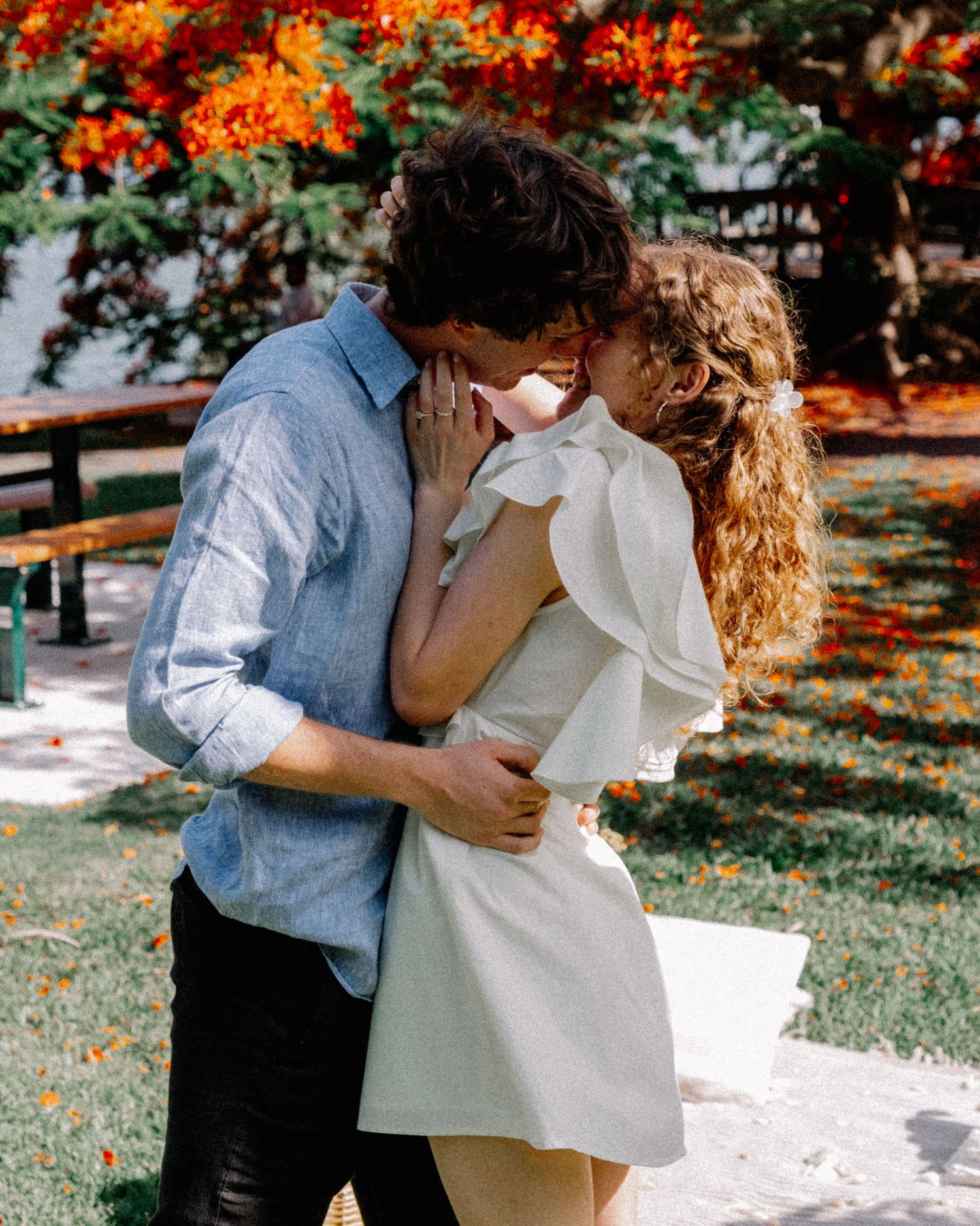Couple sharing a romantic kiss outdoors with vibrant red flowering tree in background.