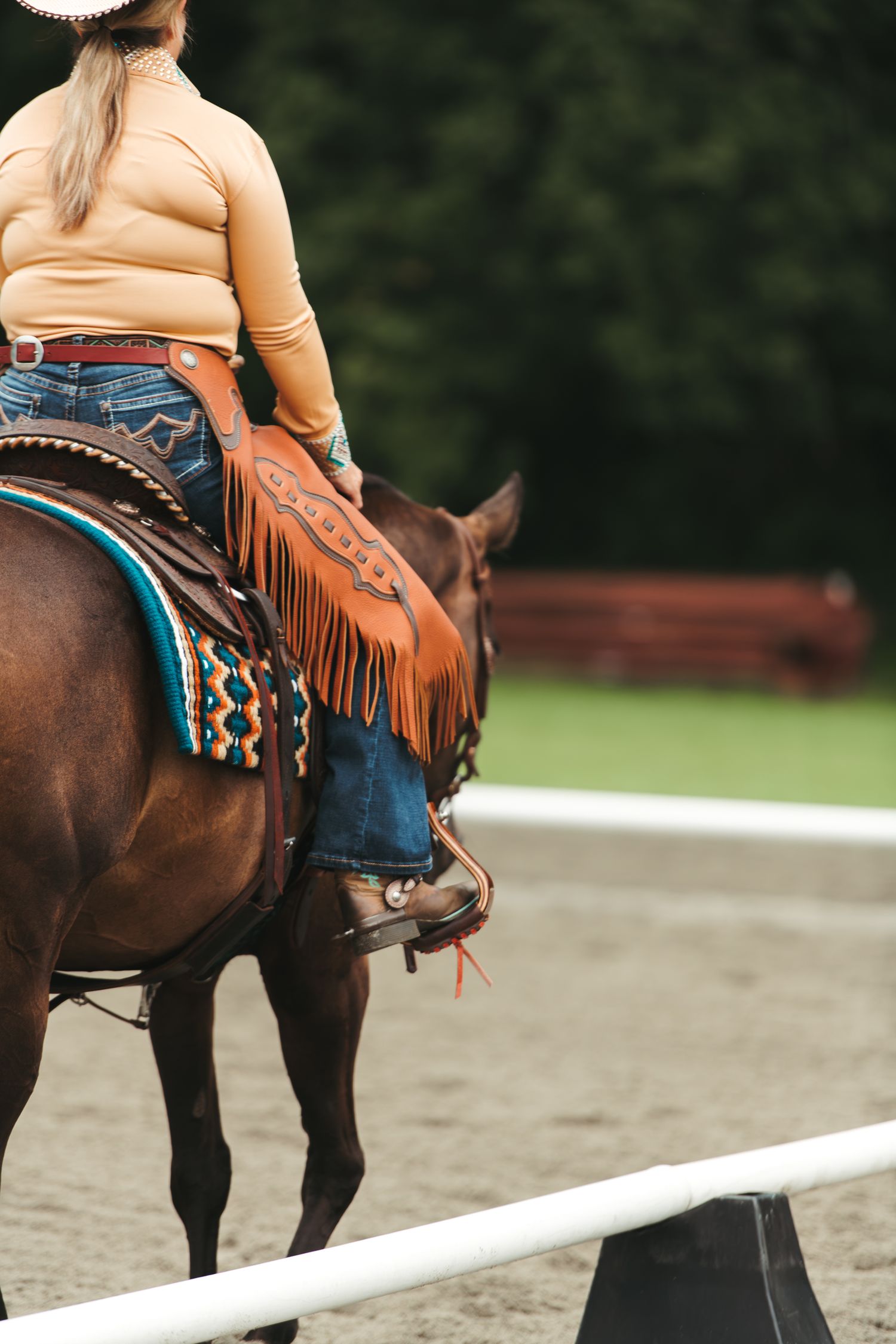 Rider in western chaps and fringed saddle on a bay horse in an arena.