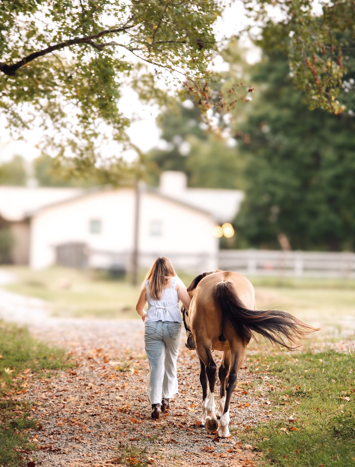 Blonde woman walking a buckskin horse down a tree-lined path on a sunny autumn day.