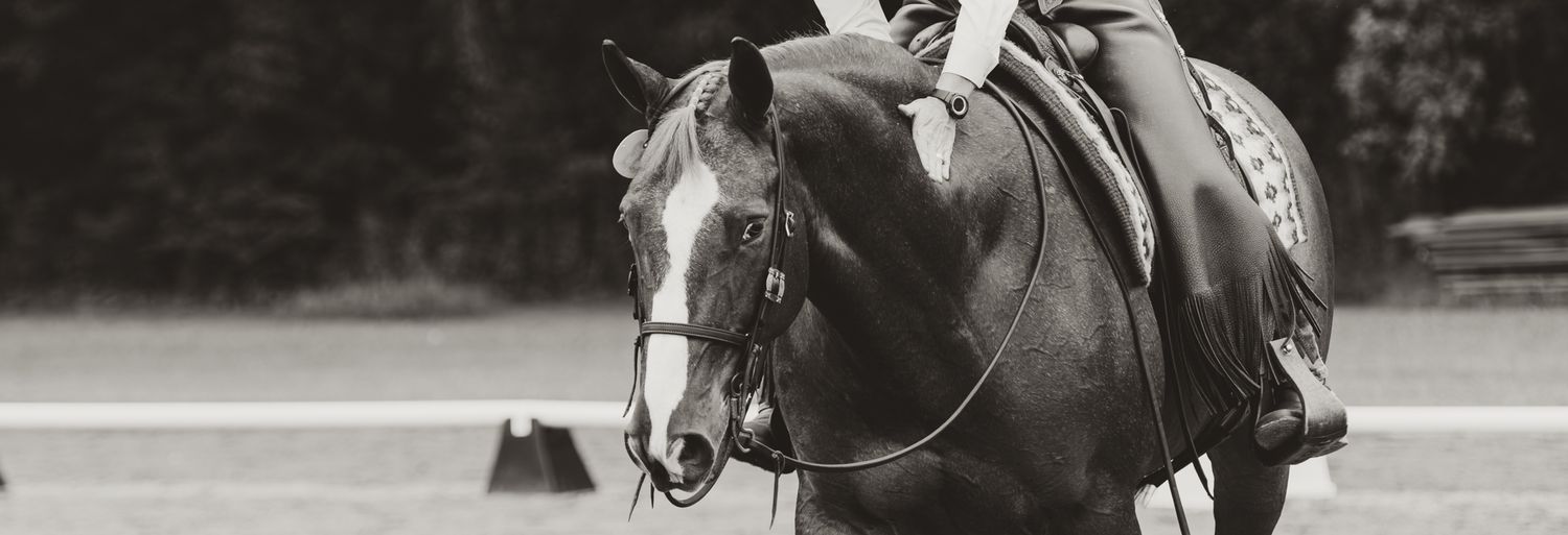 Black and white photo of a dark horse with rider performing dressage in an outdoor arena.
