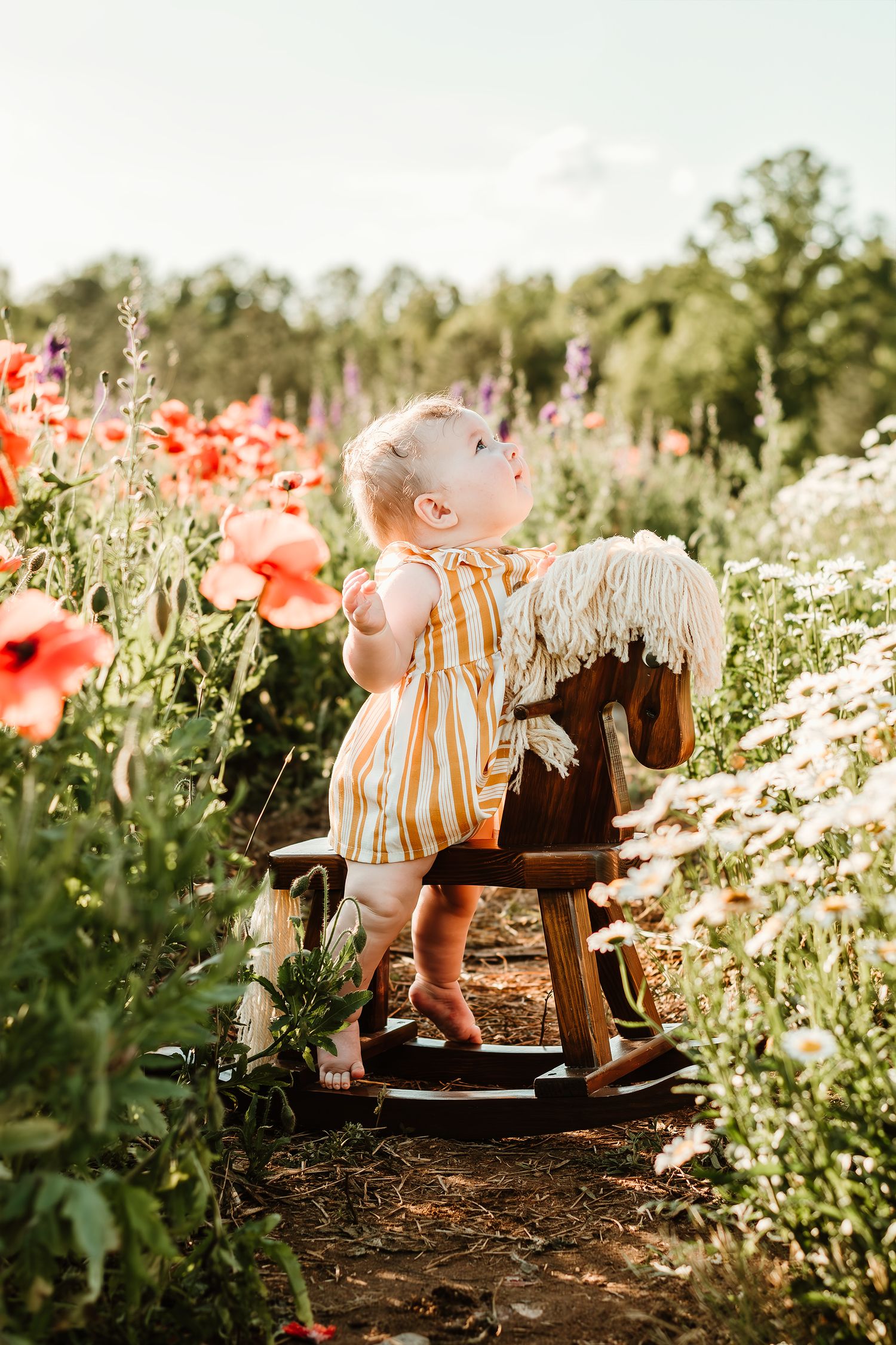 Curious baby in striped outfit standing on wooden rocking horse in colorful wildflower garden.