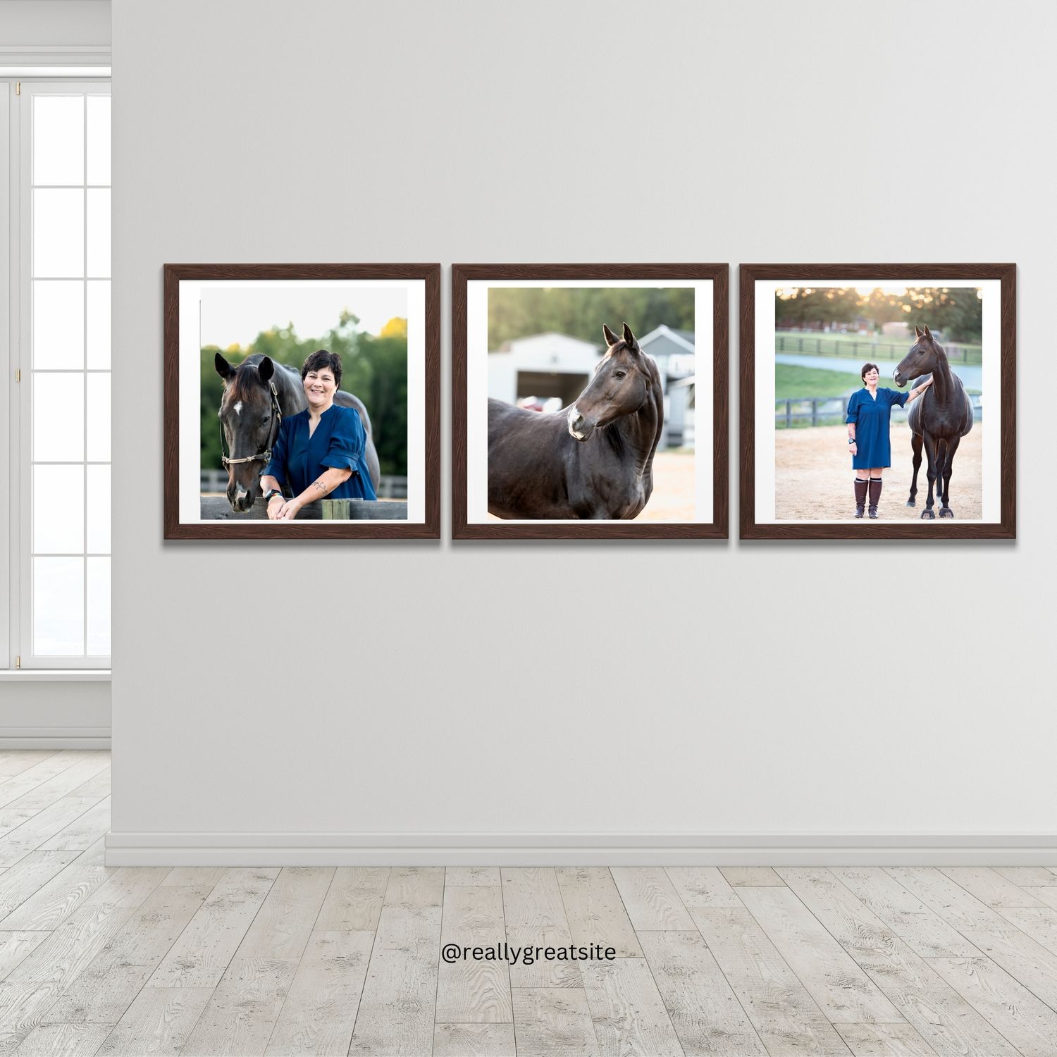 Triptych of framed equestrian portraits featuring person with dark horse displayed on white wall.