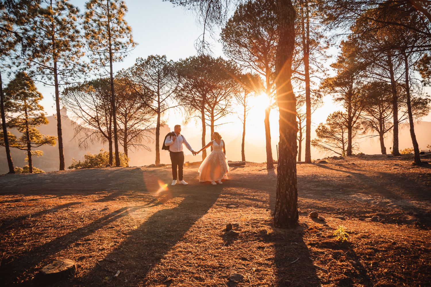 Silhouetted wedding photos with dramatic sunset lighting through pine trees creating long shadows.