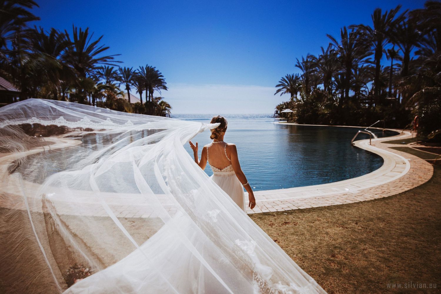A flowing white wedding veil catches the breeze on a tropical beach with palm trees and ocean views.