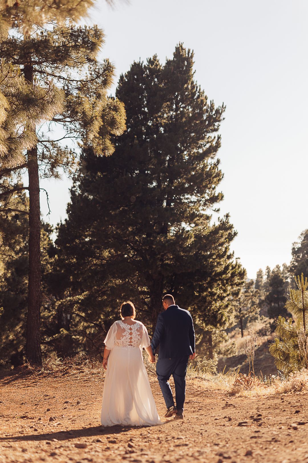 A couple in formal wear strolls through a pine forest during golden hour.