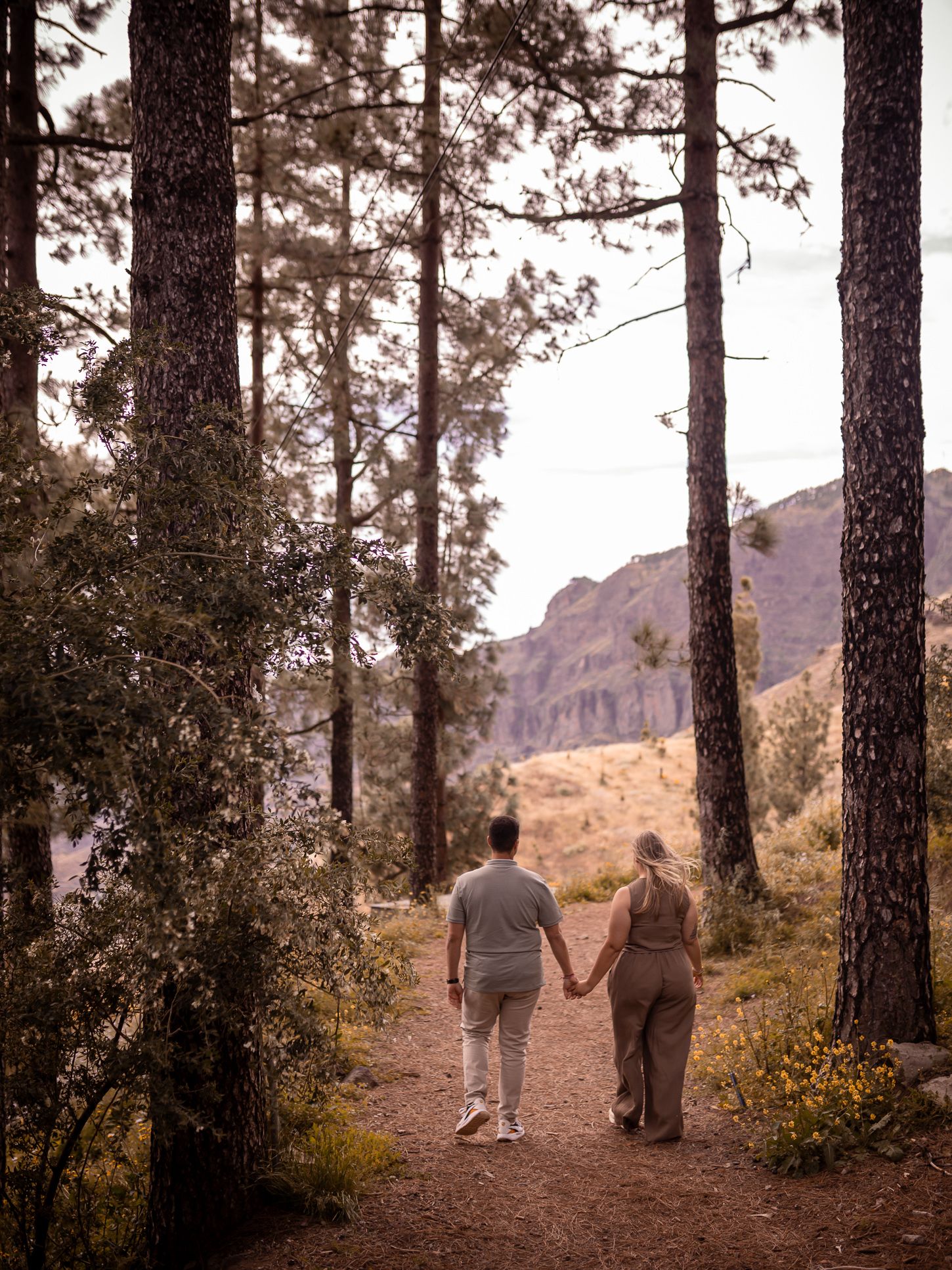 A couple walks through a pine forest trail with mountain views in the distance.
