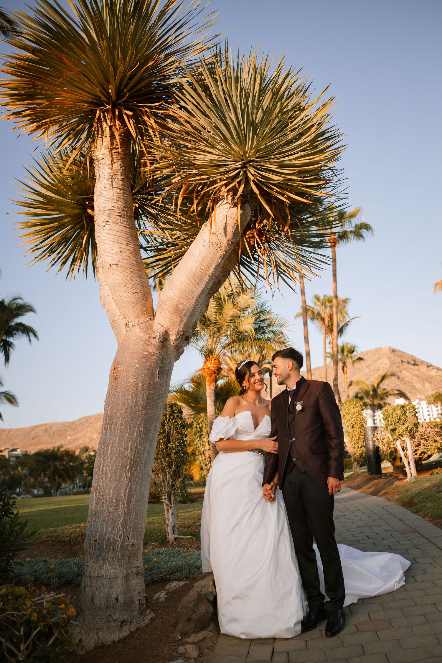 Wedding couple poses beneath desert palm trees during golden hour photography session.