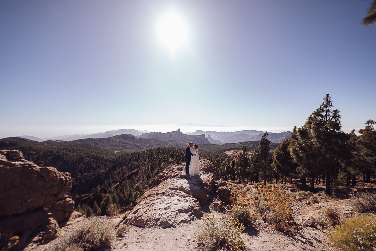 Sunlit mountain landscape with pine trees and rocky outcrops stretching into the distance.