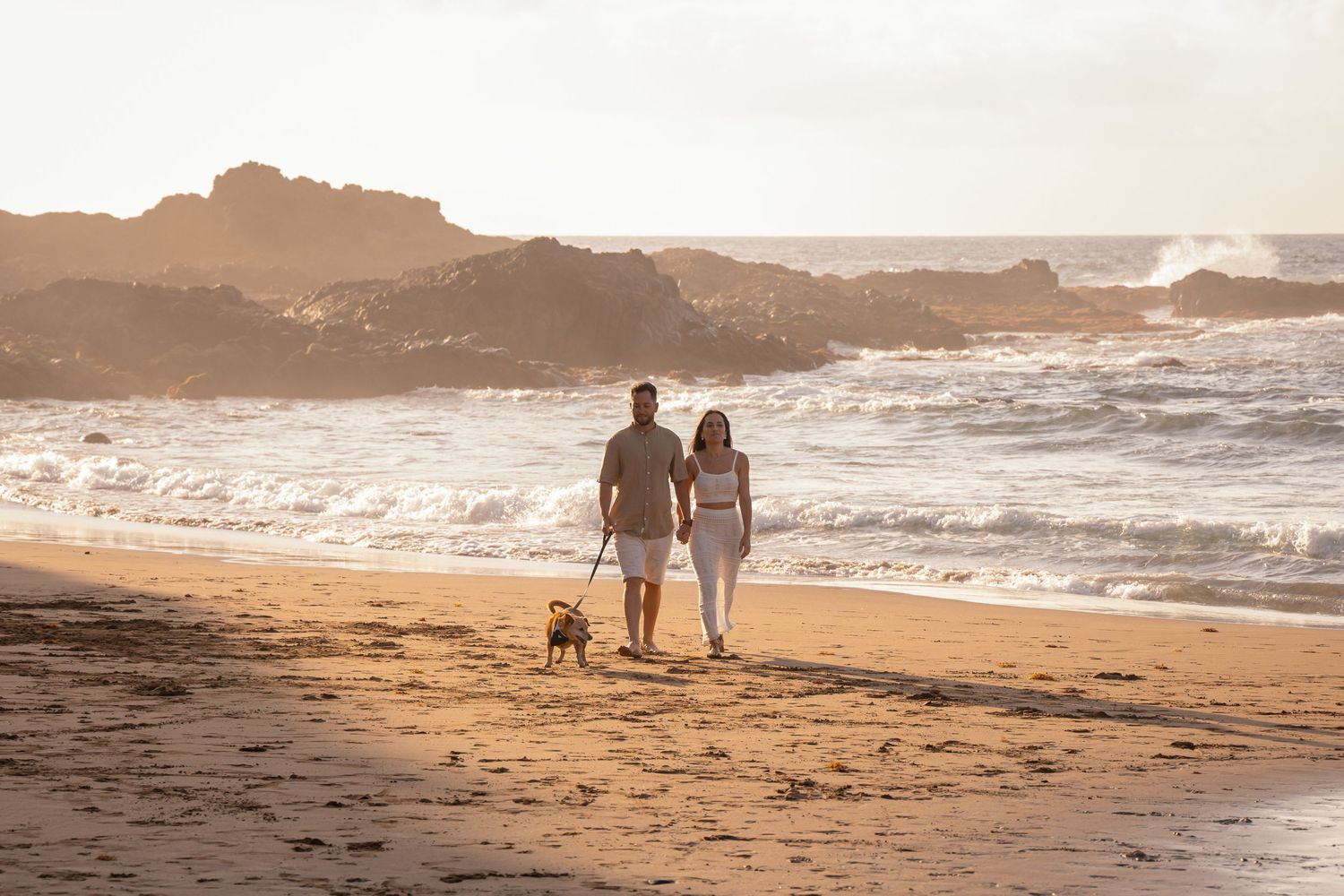 Silhouettes of people and dogs walking along a beach at sunset with waves crashing.