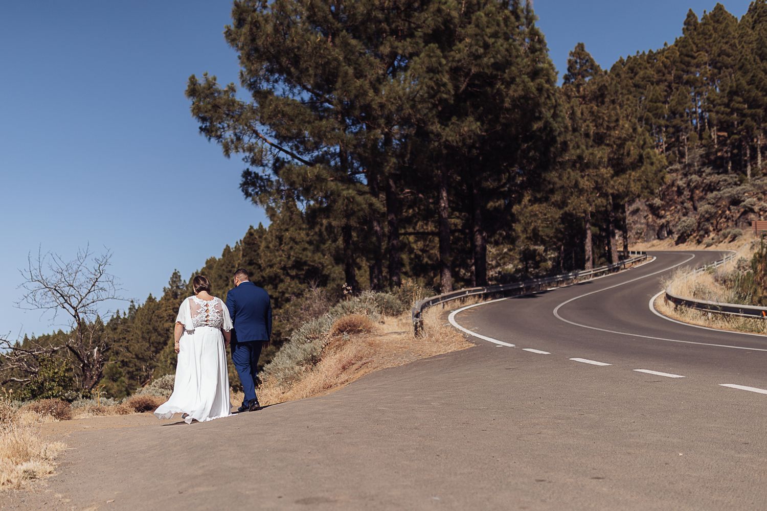 Scenic mountain road wedding photos with curved paths and pine forest surroundings.
