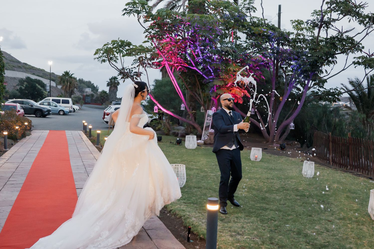 Wedding couple walks down a red carpet pathway during their outdoor celebration.