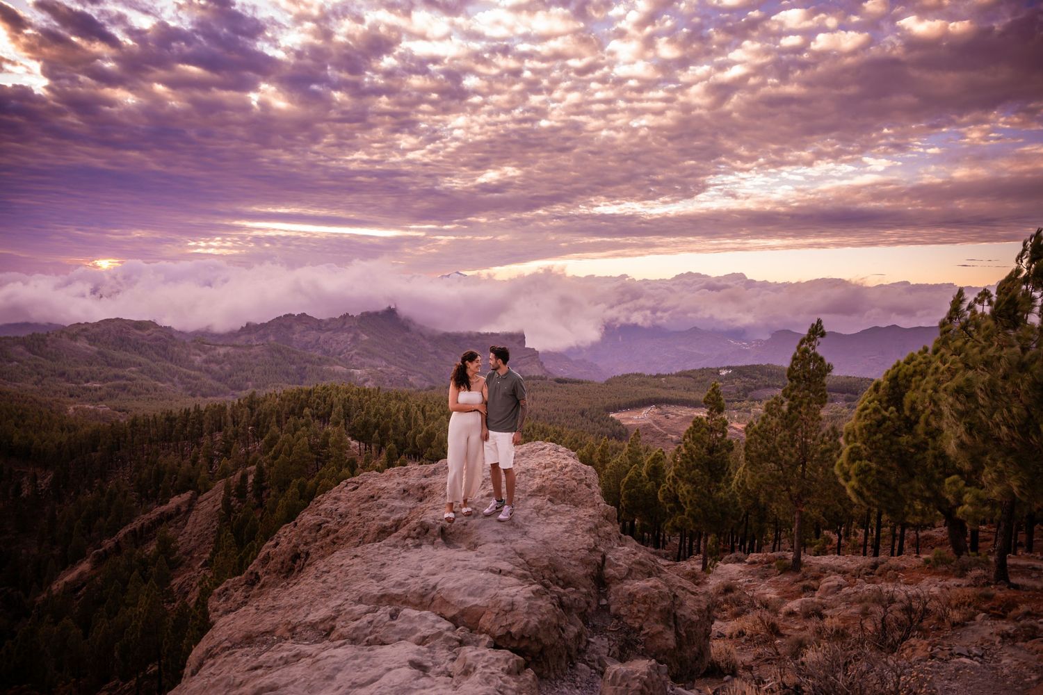 Dramatic mountain landscape with cloudy sunset sky and pine forest.