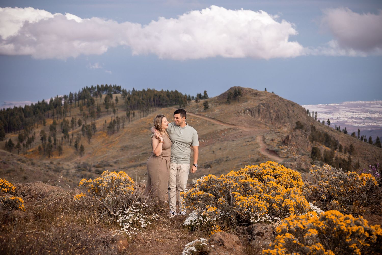 Yellow gorse flowers bloom on hillside with mountains and blue sky in background.