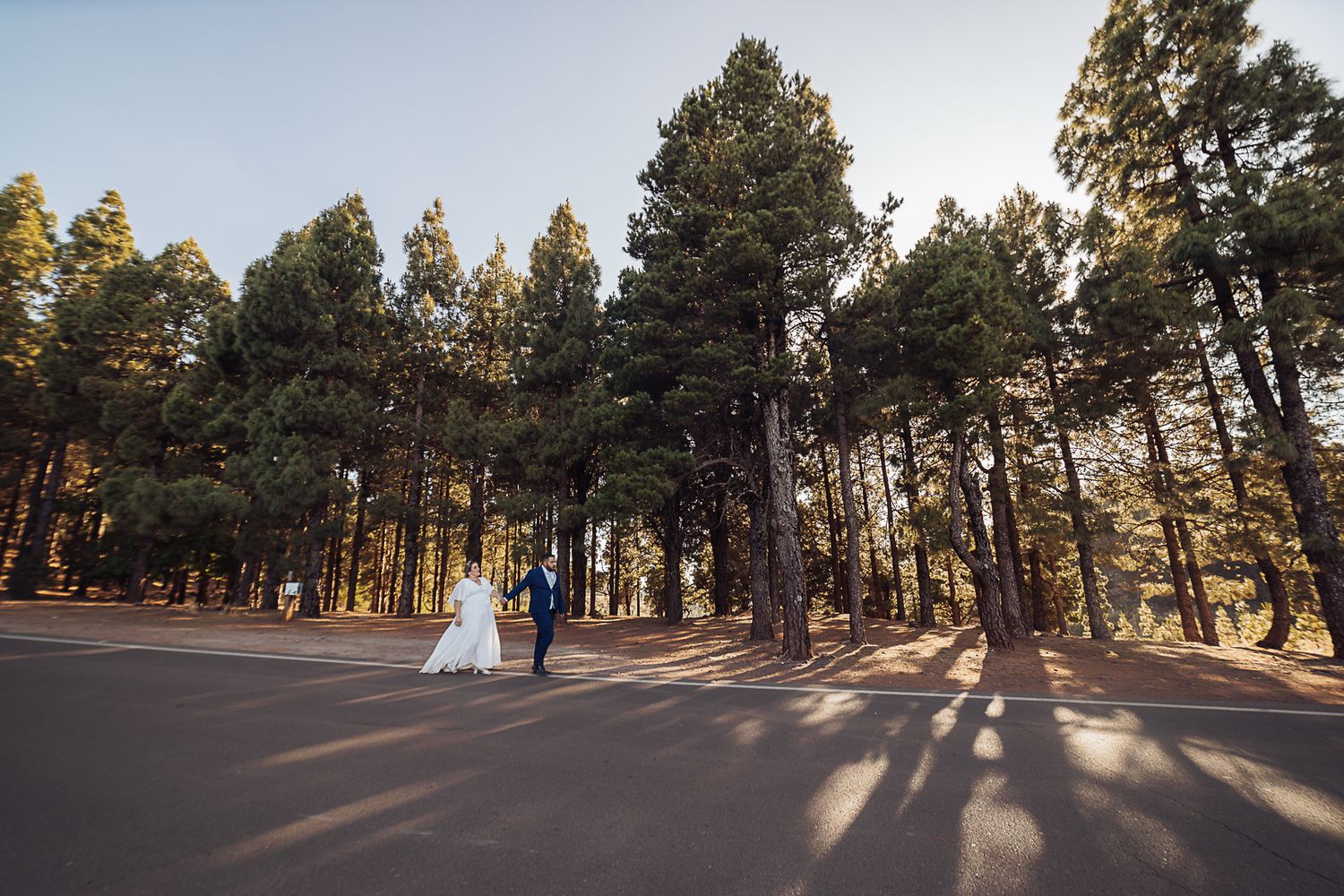 Pine forest path with long shadows stretching across a dirt road at sunset.