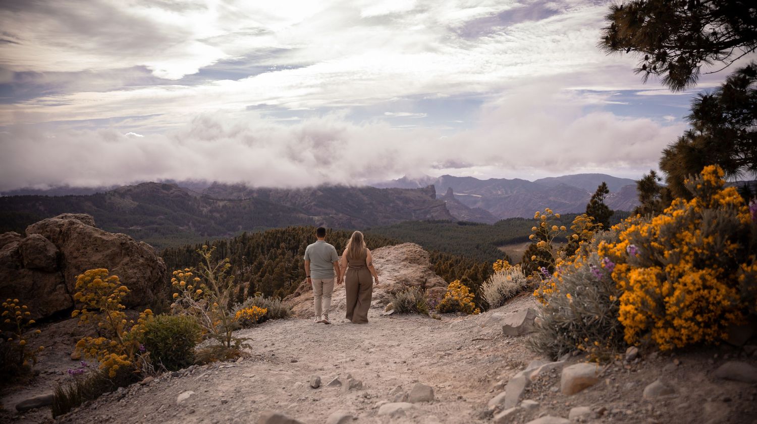Scenic mountain landscape with dramatic cloudy skies and yellow wildflowers blooming along the rocky terrain.