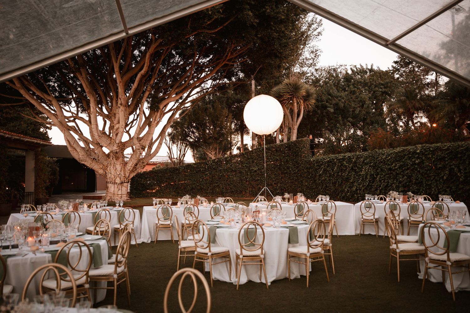 Elegant outdoor wedding reception setup with white tables and chairs under a tree decorated with glowing orb lights.