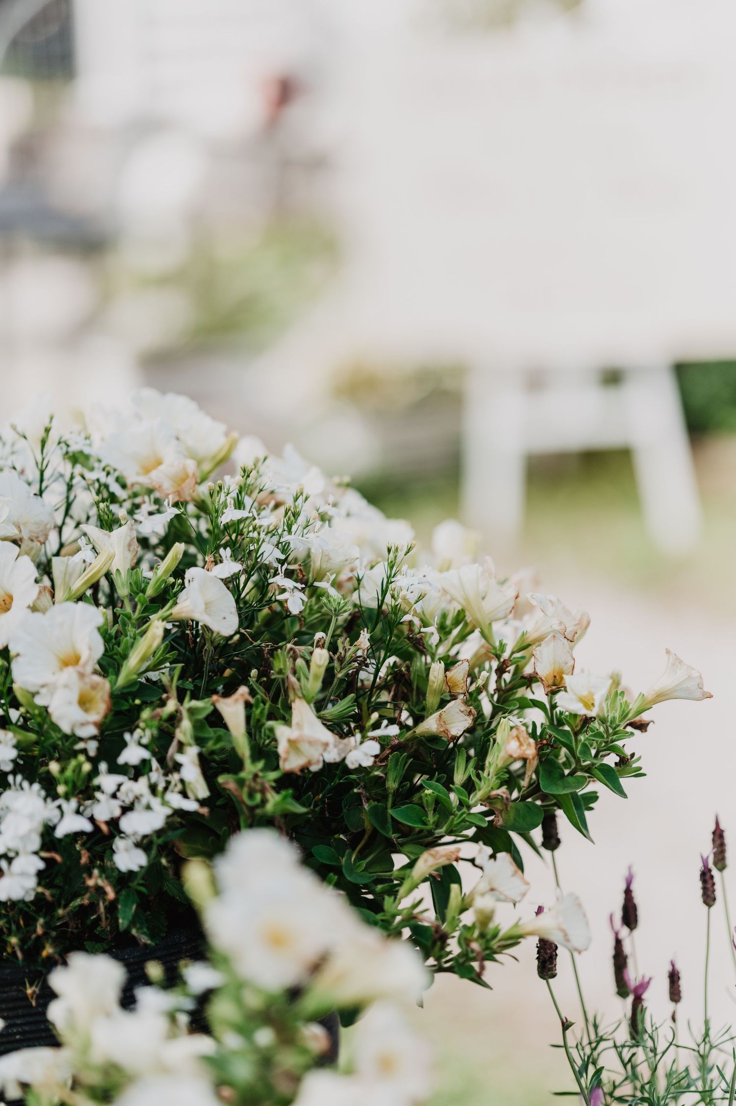 Elegant white floral wedding ceremony arrangement with freesias and greenery outdoors.
