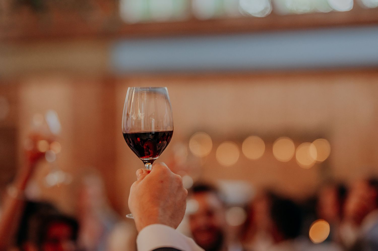 A hand raising a glass of red wine during a toast at a celebration event with blurred guests in background.