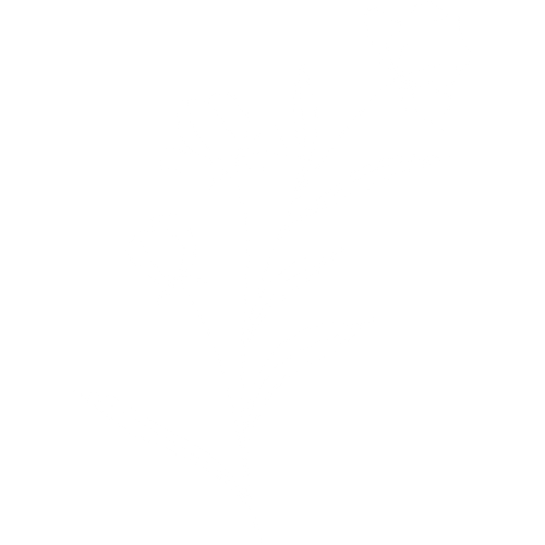Blank white square image with no visible content.