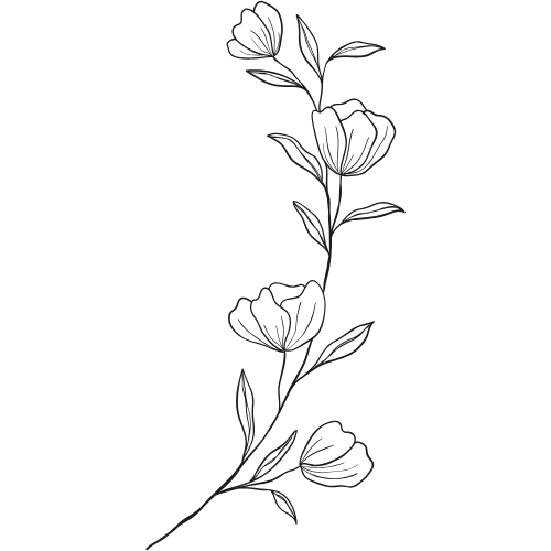 Delicate black line art drawing of climbing flowers and leaves on a white background.