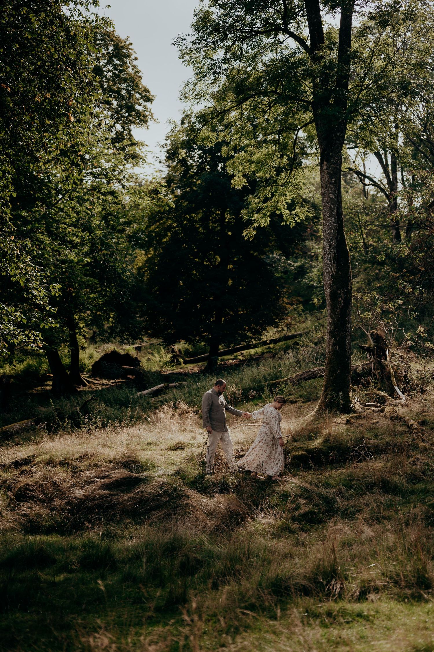 Two people walk hand in hand through a sunlit forest with tall green trees.
