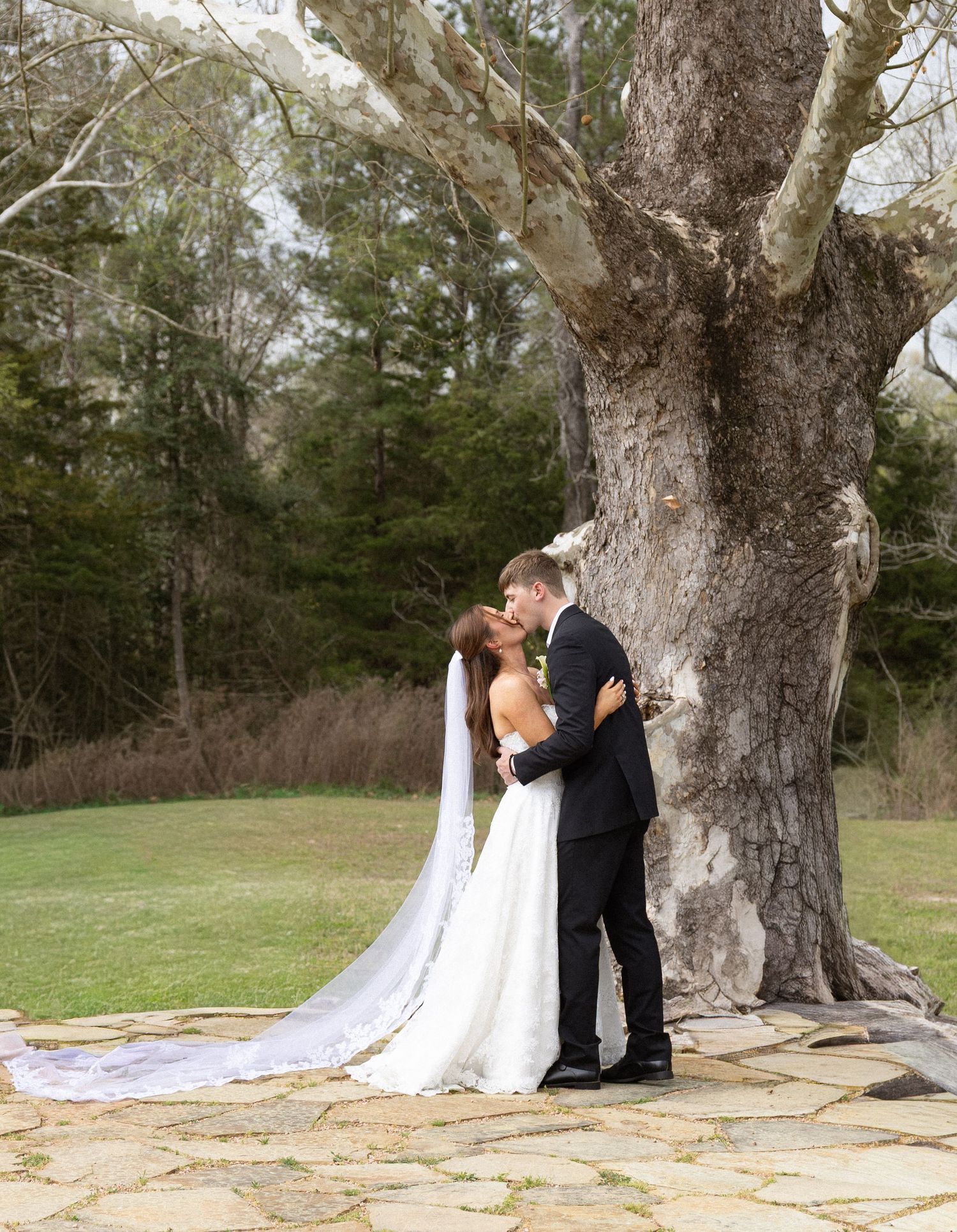 A romantic sequence of wedding photos showing a couple embracing under a large tree in a natural outdoor setting.