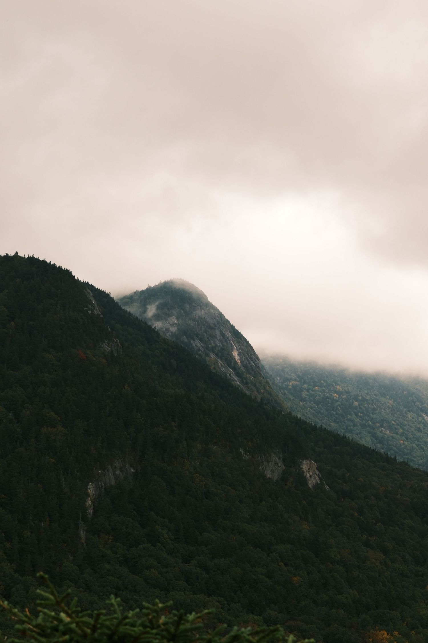 Misty mountain peak covered in dense green forest under overcast cloudy sky in a moody landscape.